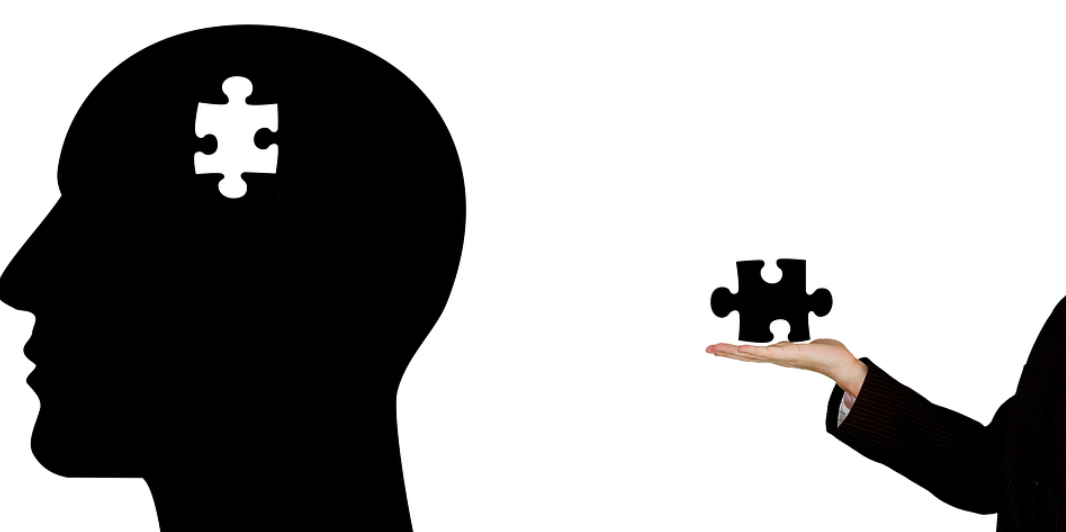 hlava a puzzle